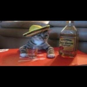 Meet your Posher, Leonardo